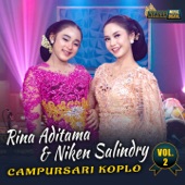 Cerita Malam (feat. Rina Aditama) artwork