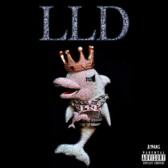 Cover artwork for Role Model