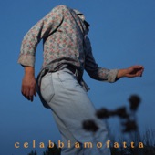 celabbiamofatta artwork