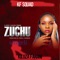 Zuchu Singeli (feat. Kiluza Fanani) - S Kide lyrics