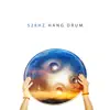 528Hz Hang Drum: Best Set Music for Meditation album lyrics, reviews, download