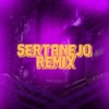 Sertanejo Remixado - Single