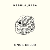 Nebula_rasa artwork