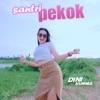 Santri Pekok - Single