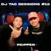 Peipper DJ TAO Turreo Sessions #15 - Single album lyrics, reviews, download