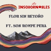 Flor Sin Retoño (feat. Son Rompe Pera) artwork