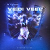 Veidi Veel - Single