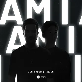 Am I - Single by Deniz Koyu & Raiden album reviews, ratings, credits