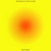 Transmutation Guide