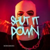 Shut It Down - Single