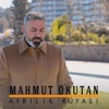 Ayrılık Rüyası - Single