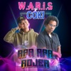 Apa Apa Rojer - Single