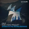 Sharks in the Woods (feat. Yves Paquet) [Remixes] - Single album lyrics, reviews, download