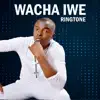 Wacha Iwe (feat. Gloria Muliro) - Single album lyrics, reviews, download