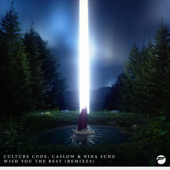 Wish You the Best (Remixes) - EP - Culture Code, Caslow & Nina Sung