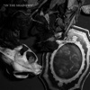 In the Shadows - Single