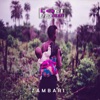 Zambari (Dreamy African Lofi) - Single