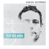 Tot És Ara (feat. Jordi Bonell) artwork