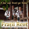 Cine Are Frati Pe Lume 2020 - Single