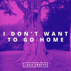 I Don't Want To Go Home - Single