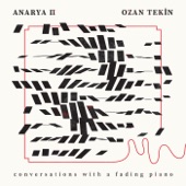 Anarya II - EP artwork