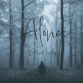 Alone But Not Lonely artwork