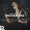 Brother Bird OurVinyl Sessions - EP album lyrics, reviews, download
