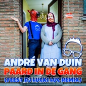 Er Staat Een Paard In De Gang (Feest DJ Lucki Luc Remix) artwork