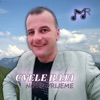 Novo Vrijeme - Single