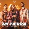 Mi Tierra - Single