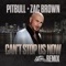 Can't Stop Us Now - Pitbull & Zac Brown lyrics