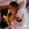 COEUR DE ICE (feat. Damso) - Zola lyrics