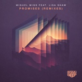 Promises (feat. Lisa Shaw) [Migs Piano Love Extended Vocal] artwork