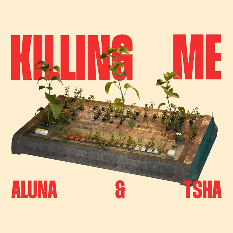 Aluna & TSHA - Killing Me - Single (2023) [iTunes Plus AAC M4A]-新房子