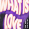 What Is Love - Single