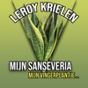 Mijn Sanseveria - Mijn Vingerplantje - Single