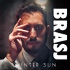 Winter Sun - Single