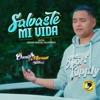 Salvaste Mi Vida - Single