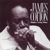 James Cotton - Call It Stormy Monday