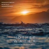 Mother Water (Momentology Mix) artwork
