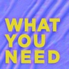 What You Need - Single