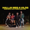 Hallja meg a világ - Single