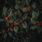 Disengage - Torture Garden lyrics