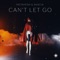 Can't Let Go (feat. Akacia) - METAHESH lyrics