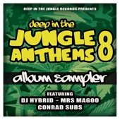 Deep in the Jungle Anthems 8 - Lp Sampler - Single