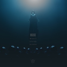 Won't Stand Down artwork