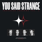 You Said Strange - What a Day