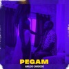 PEGAM - Single