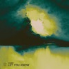 Let You Know - Single