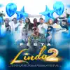 Festa Linda 2 (feat. Mc Davi, Mc Dricka, MC GW, Mc Don Juan, Mc Pedrinho, Mc Kelvinho & MC Joãozinho VT) - Single album lyrics, reviews, download